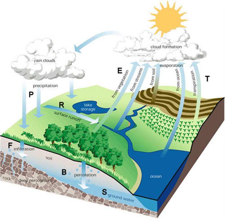Water Cycle/Balance Schematic. Source: FISRWG 1998